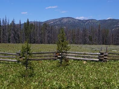 ELK CREEK CAMPGROUND (SAWTOOTH NF)