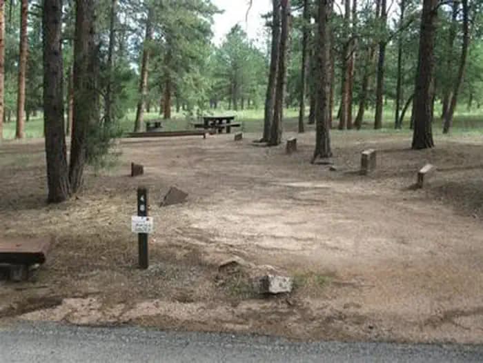 South Meadows - Pike San Isabel NF (CO)