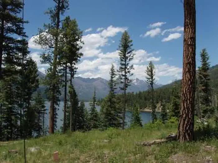 Pine Point (Vallecito Reservoir, CO)