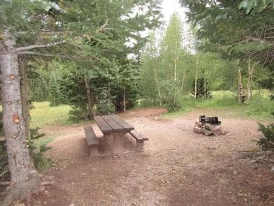 BEAR LAKE CAMPGROUND (CO)