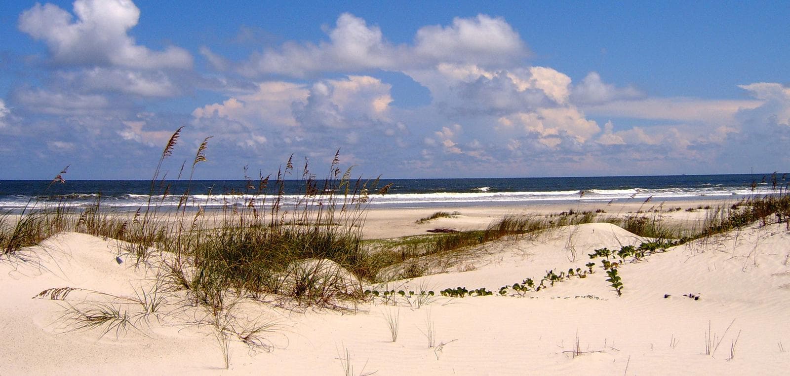 Cumberland Island National Seashore Camping Permits