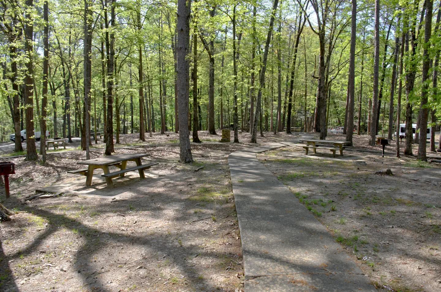 COOPER BRANCH No 2 DAY USE AREA (GA)