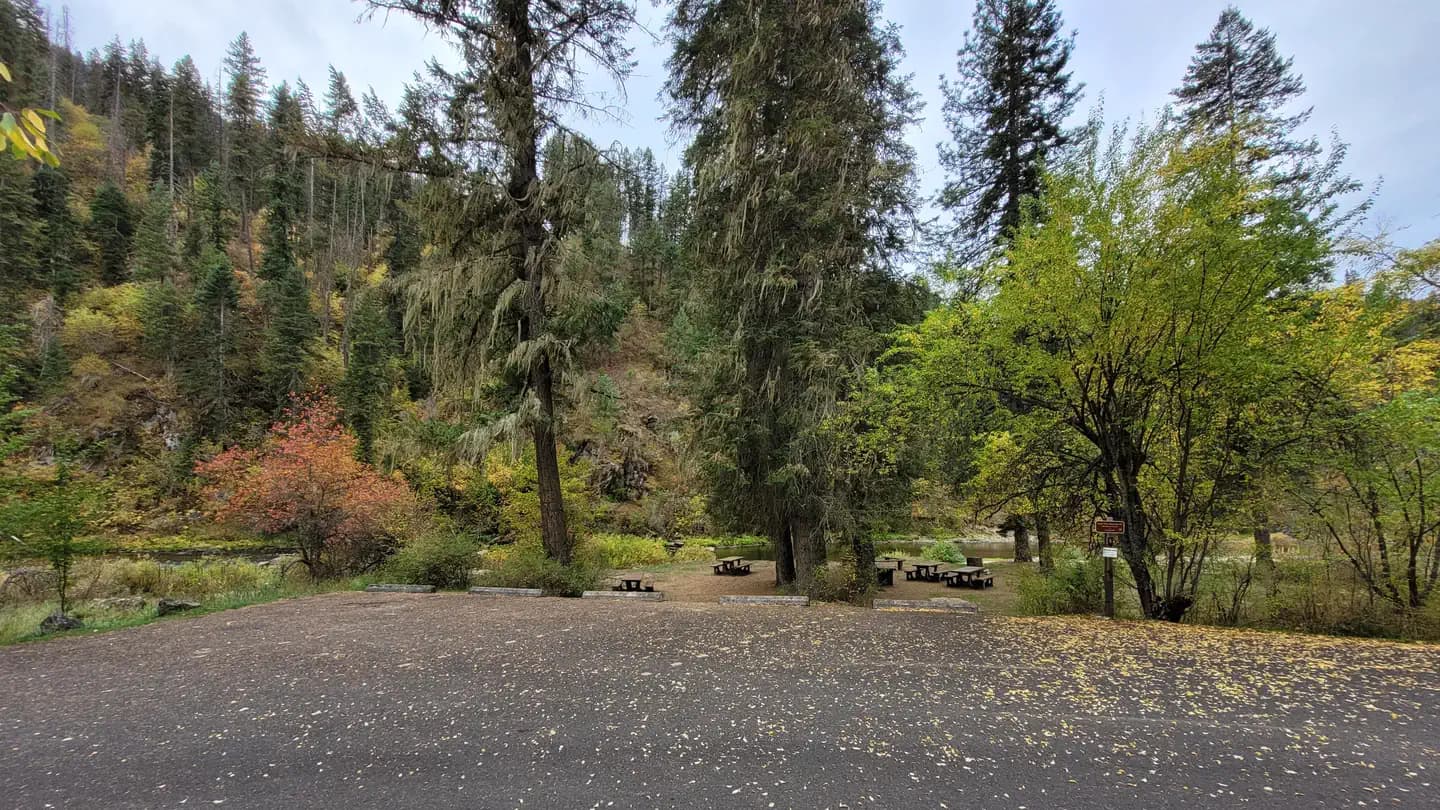 South Fork Group Site 5 - Nez Perce NF (ID)
