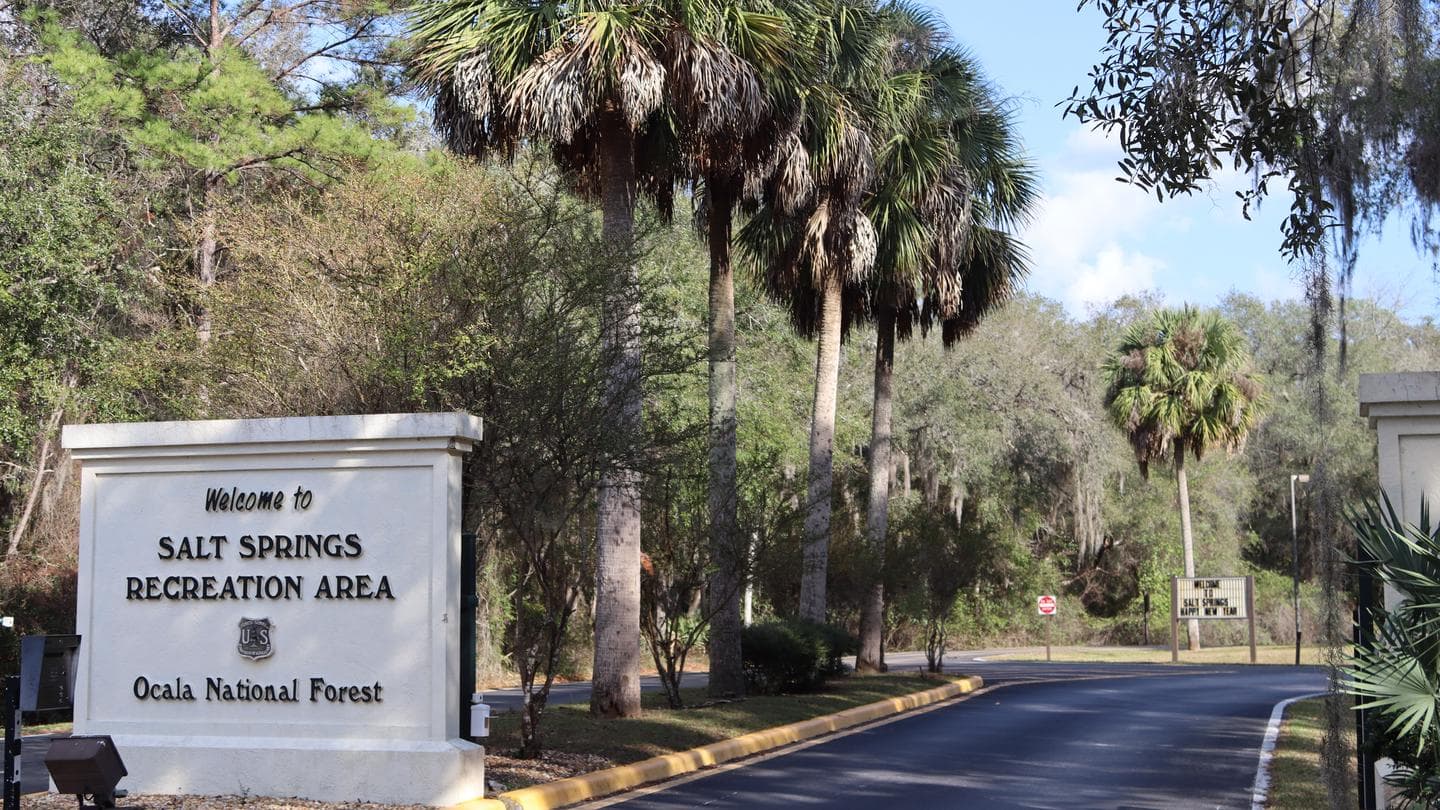 SALT SPRINGS RECREATION AREA