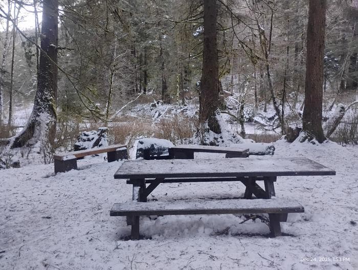 STARRIGAVAN CREEK CABIN