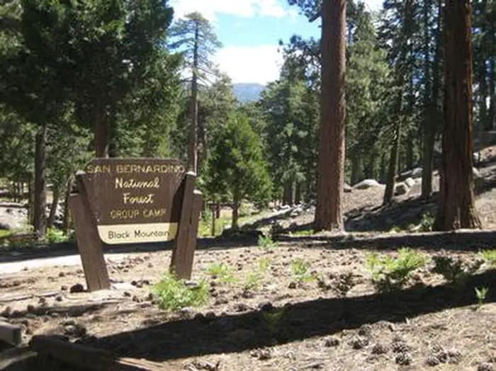 BLACK MOUNTAIN (SAN BERNARDINO)