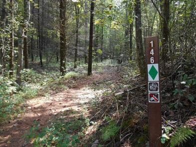 WILLIS KNOB HORSE CAMP